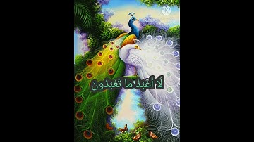سورة الكافرون  بصوت الشيخ ياسر الدوسري