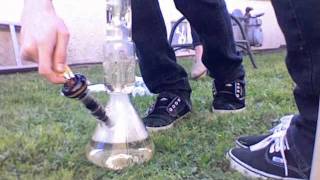 Blueberry OG Smoke Session