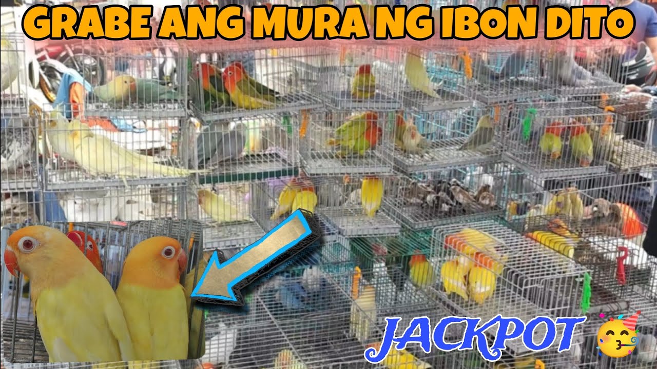 MURANG IBON SA BOCAUE PET MARKET EVERY FRIDAY 