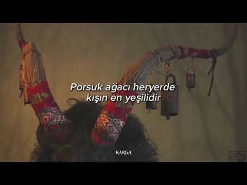 Danheim - Vígspá || Türkçe Çeviri
