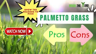 [Reasons To Pick] Palmetto Grass Pros And Cons