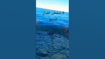 #حالات_واتس #تلاوة_مؤثرة #تلاوة_خاشعة #إسلام_صبحي #حالات #حال #صوت_يريح_القلب #قرآن #صلوا_علي_النبي