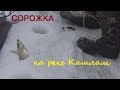Рыбалка в Сибири #58. Как поймать сорогу зимой. Рыбалка на реке Кашлам. 24 января 2019г.
