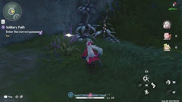 Solitary Path Enter The Correct Password