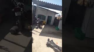 Fortes , Marido Traído