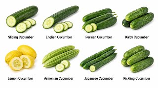 All Cucumber Explained in 15 Minutes 