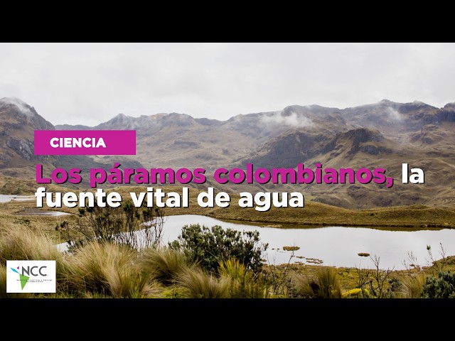 Los páramoscolombianos, la fuente vital de agua