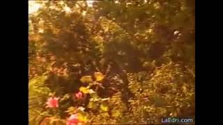 Ismail Beyhan - Geylani