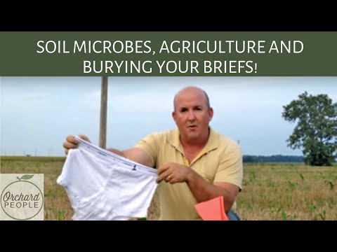 Soil Microbes &amp; Agriculture: How to increase microbes in soil? | Orchard People #soilmicrobes