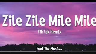 [ZILE  ZILE   MILE  MILE] No copyright song Tik Tok remix song