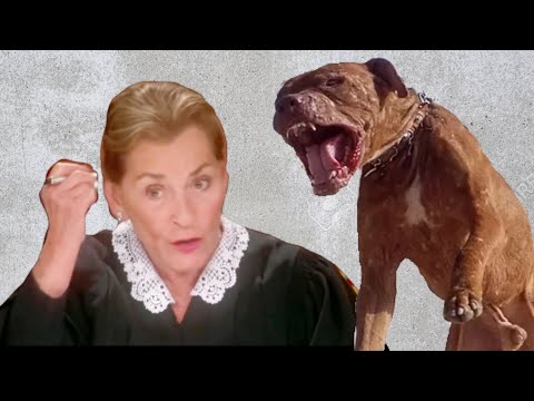 قاضی جودی، "هر کسی که پیتبول ها را نگه می دارد دیوانه است"، قاضی صاحبان سگ های پیتبول خطرناک را می شکند