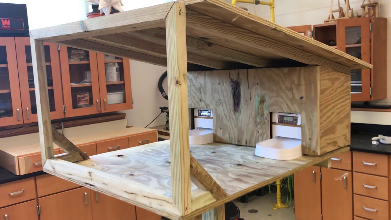 Feral Cat Feeder Project YouTube