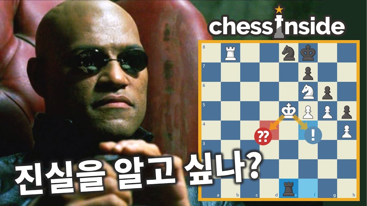 끝나고 체스닷컴 게임리뷰 돌려봐.