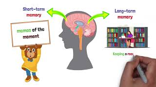 SCI-102 Module 7: Regulation and The Nervous System