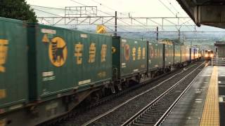2015/7/1 5050レ EF210-901+コキ100系列