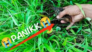 Tercenganam Hutan Tiba-Tiba Lepas Karna Lupa Tutup Sangkar