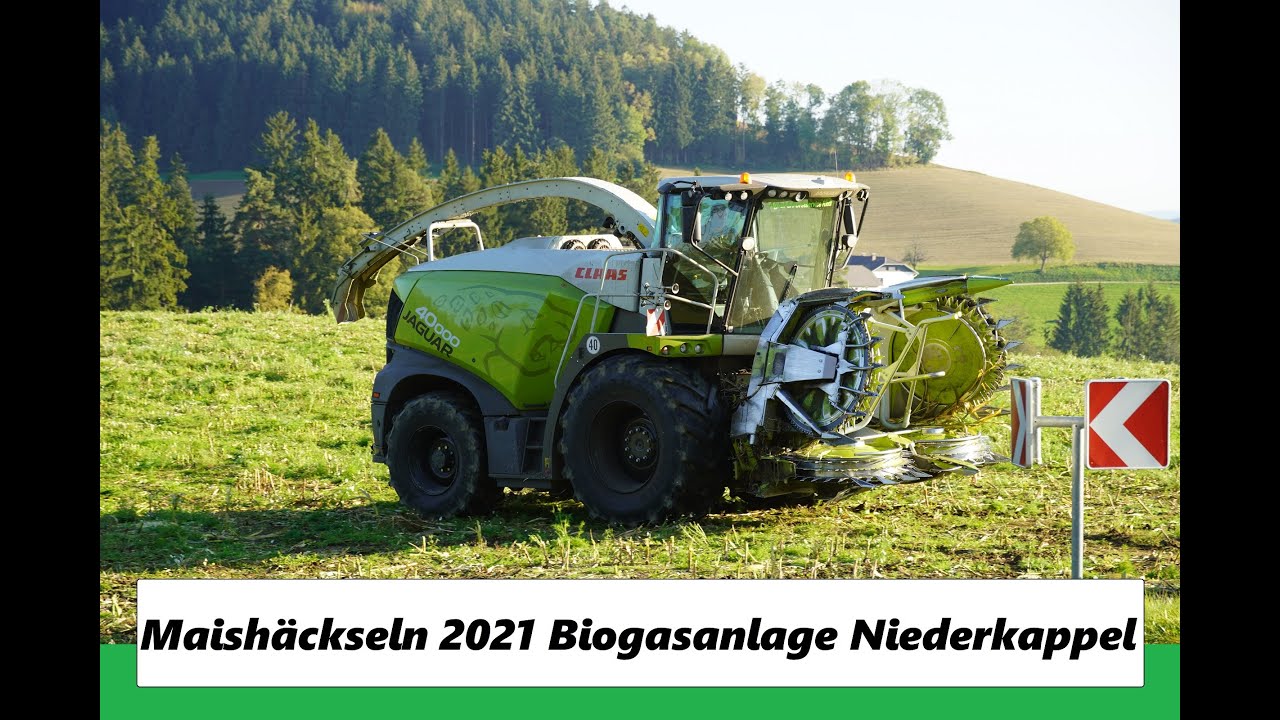 Maishäckseln 2021/Biogasanlage Niederkappel/Agrar und Forstservice Riedl