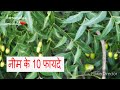 Neem benefits and uses in hindi / Wonder Herb- Neem Benefits, Uses / नीम के स्वास्थ्य फायदे