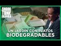 Un jardín con platos biodegradables | Shark Tank Colombia