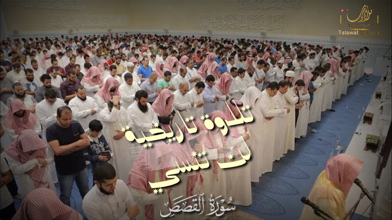 جمال الصوت وإبداع الترتيل _ سوره القصص للشيخ ناصر القطامي