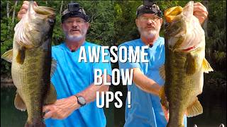 How I Consistently Catch Trophy Sized Bass In The Summer