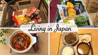 shopping at a fancy supermarket, make two dishes with snow fungus | housewife days in autumn