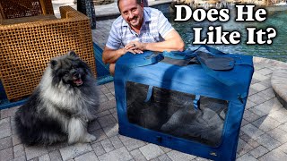 Reviewed:  CANINE CANYON 36 Inch Collapsible Soft Dog Crate