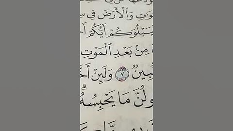 تلاوة عطرة لطلاب أكاديمية قناة إقرأ وارتق وليد عمار ٠١٠٢٥٣٤٤١٣٥