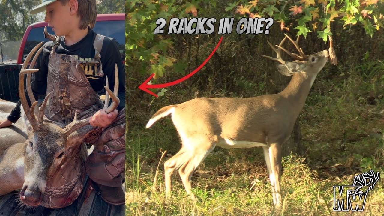 DREAM first Buck! Tennessee Juvenile opener.