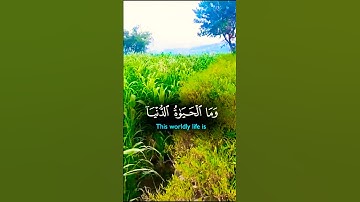 تتلاوة خاشعة بصوت يريح الأعصاب #elmulquranعلم #قران_كريم #تلاوة #المصحف #trend #اكسبلور #aslam