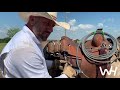 Buster frierson cutting a pipe collar off of a cow