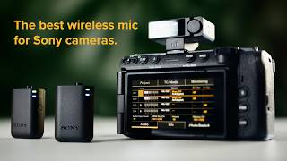 Sony nailed it with the ECM-W5 screenshot 3