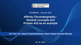 Affinity Chromatography: General concepts and Protein A/G as an example