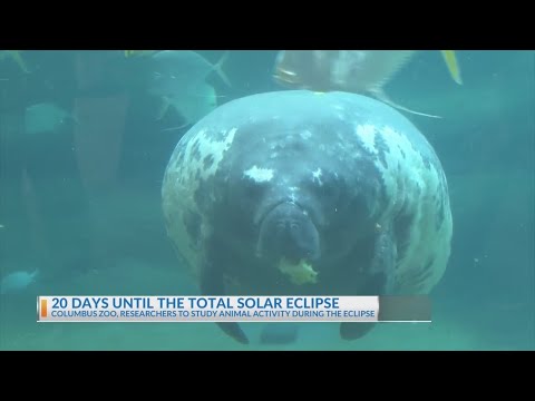 Columbus Zoo to study animal activity during eclipse
