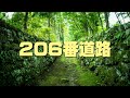 【ポケモンDP】206番道路 bgm 1時間耐久