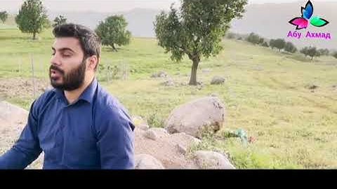 ماتيسر من سورة نوح القارئ نور الدين سليم