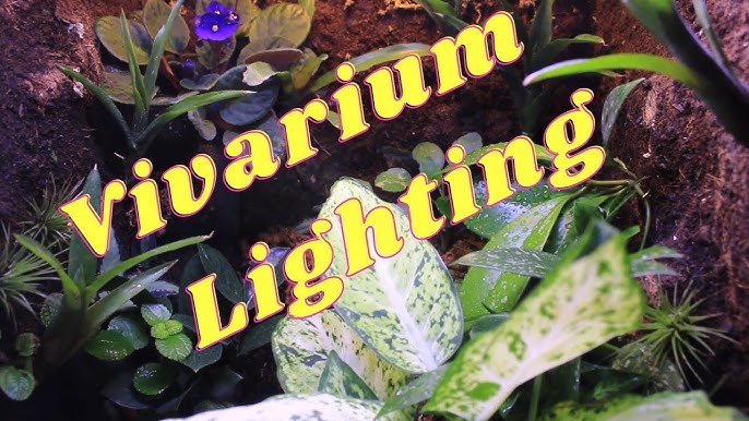 Exo Terra TerraSky Planted and Reptile Terrarium LED Lighting
