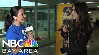 Clear the Shelters: Celebrating 10 years of helping pets find their forever homes