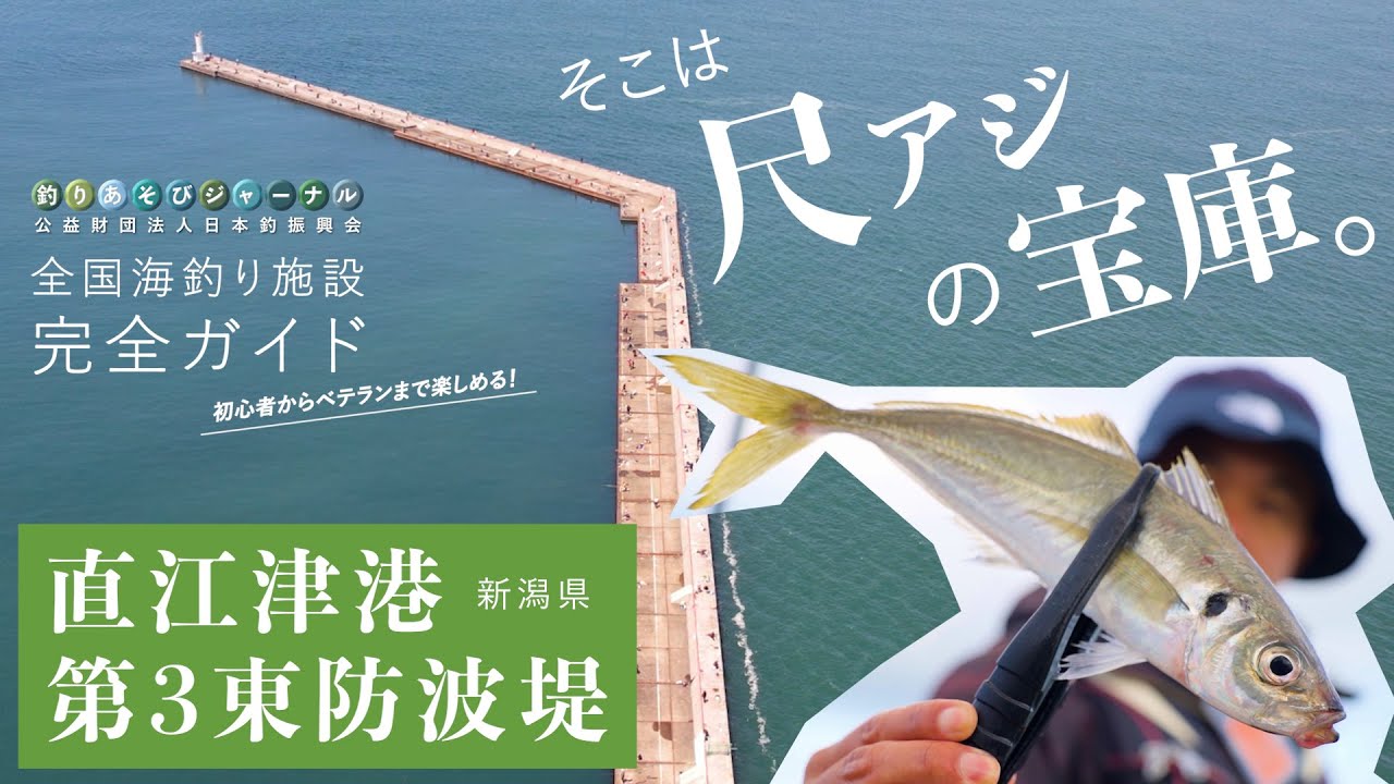 釣り場の実力検証！日本海・尺アジへの最短コース。【新潟・直江津港】