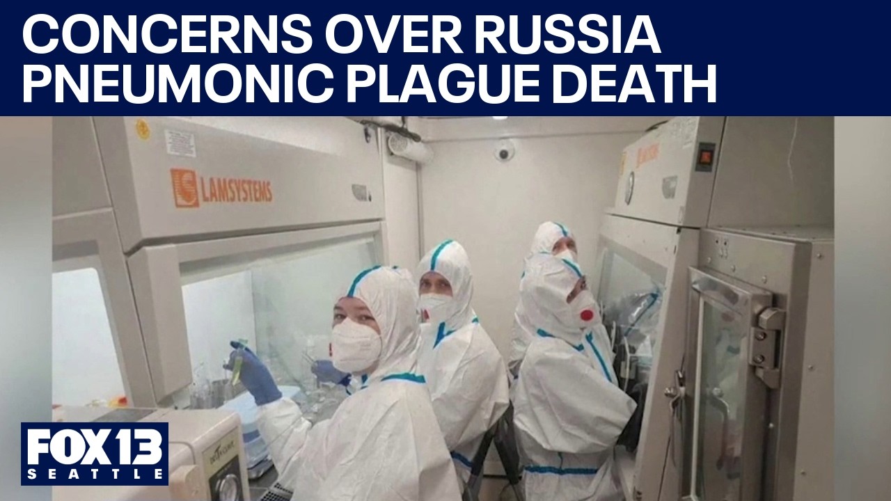Russian plague death: WA doctor answers common questions | FOX 13 Seattle