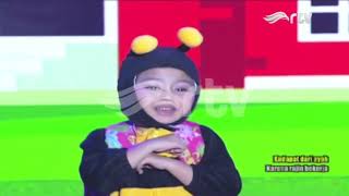 Download lagu Kring Kring Ada Sepeda by Chicco Radella