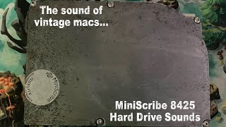 MiniScribe 8425SA Hard Drive Sounds - The sound of vintage macs...
