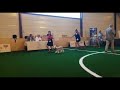 Bedlington terrier in wittau terrier club show 2019