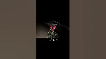 اني بالدنيا وحيدك اغاني عراقية بدون موسيقى دعوه امي اغاني حب تيك توك اغاني حب ترند لايك 