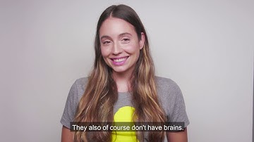 Do plants feel pain?