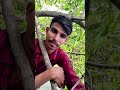 इतना ऊंचा पेड़ 😱😱😲#instagram #newvlog #trending #india #viral
