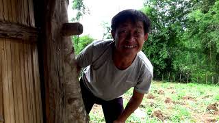 Movie Pom Hluas Nkauj Zoo Nkauj Huv G Taus