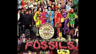 Sgt. Fossils Lonely Hearts Club Band Sing Their Hit, Paperback Reader. Its A Comic Book Livestream.