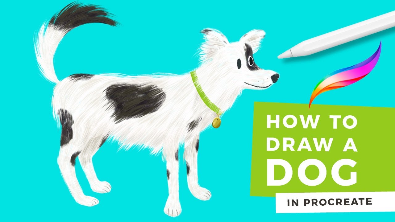 How to Draw a Dog on Procreate Stay Home and Draw YouTube
