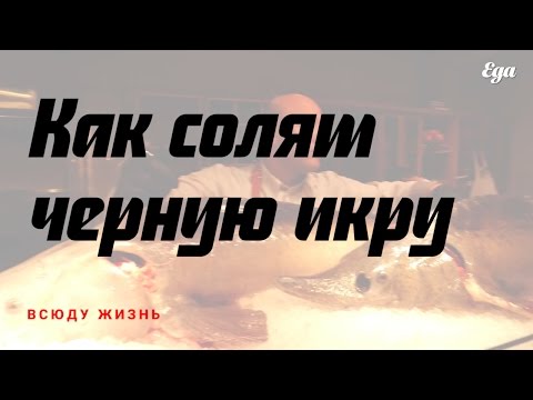 Как солят черную икру